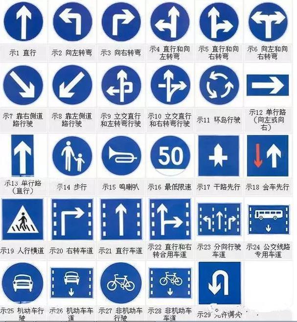看清信號燈、標牌與標線